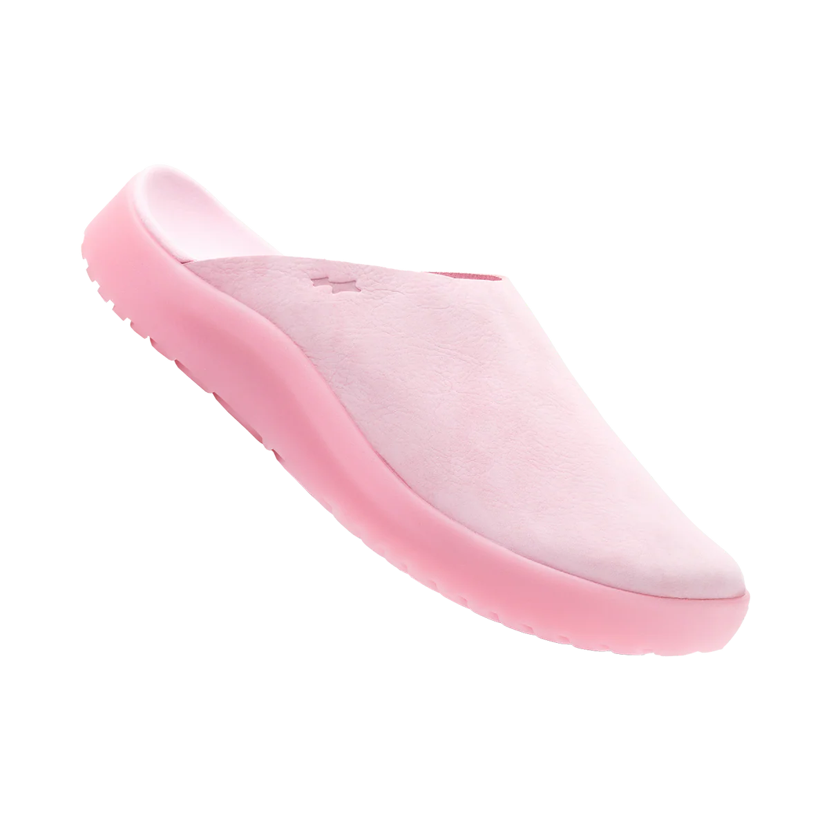 Skylrk Sunken Mule Coral Skylrk Sunken Mule Coral
